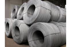 Steel wire rod