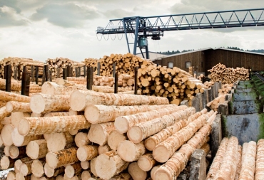 Timber industry