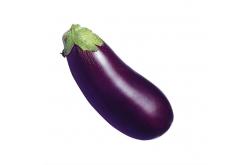 Eggplant