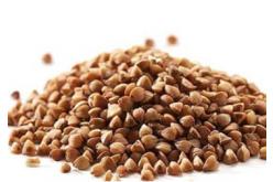 Buckwheat