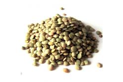 Lentils