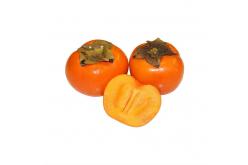 Persimmon