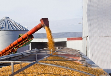 Grain industry