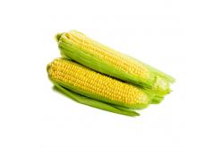 Corn