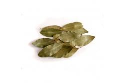 Bay leaf