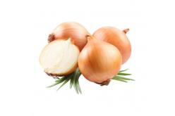 Onion