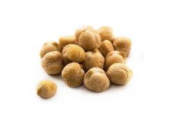 Chickpea