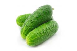 Cucumber