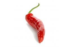 Sweet pepper (bulgarian)