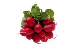 Radish