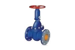 Cast iron gate valves