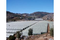 Greenhouse covering film (greenhouse pellicle)