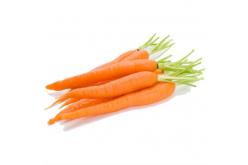 Carrot