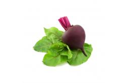 Beet