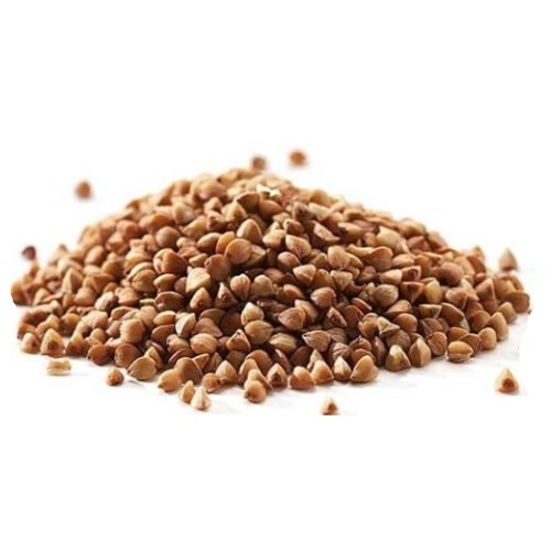 Buckwheat grain