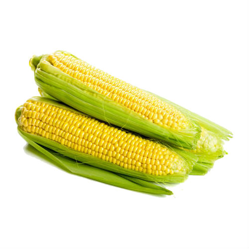 Corn