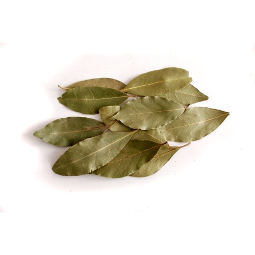 Bay leaf