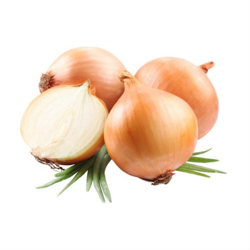 Onion