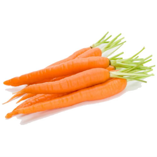 Carrot