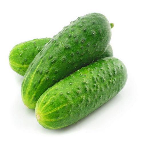 Cucumber