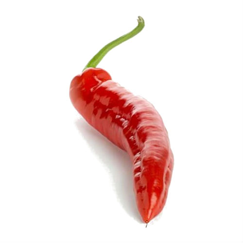 Sweet pepper (bulgarian)