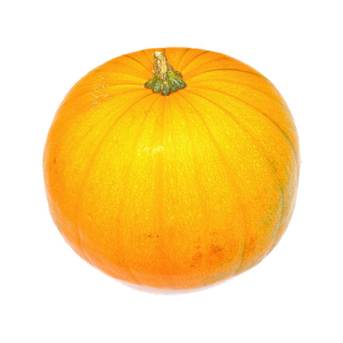 Pumpkin