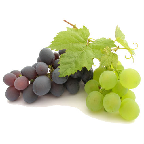 Grapes