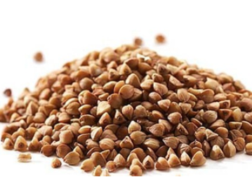 Buckwheat